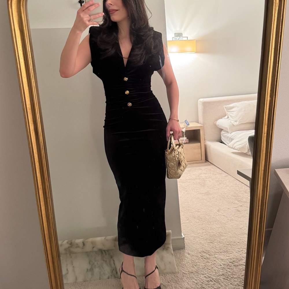 Zara Buttoned Velvet Dress